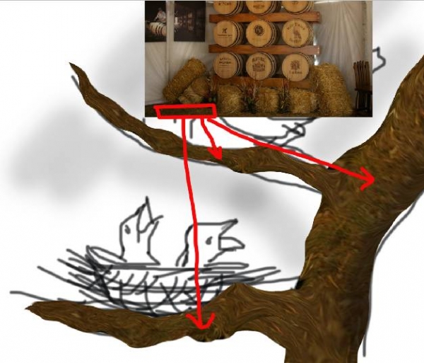 Creation of Feeding: Step 2